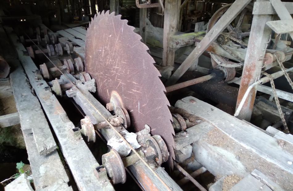 The Tawanui sawmill blade gets fired up every year.
