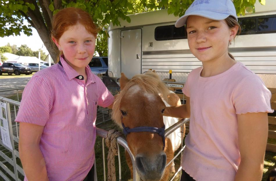 Cinnamon the pony welcomes the attention of Ruby Boyd (9, left) and Brydhi Dundass (9), both of...