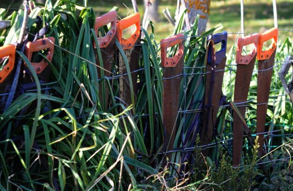 Outside, old saws are part of the landscape.