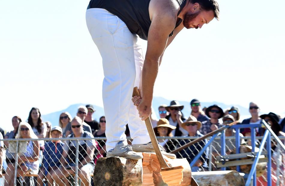 Otautau’s Simon Bond competes in the underhand wood chopping.
