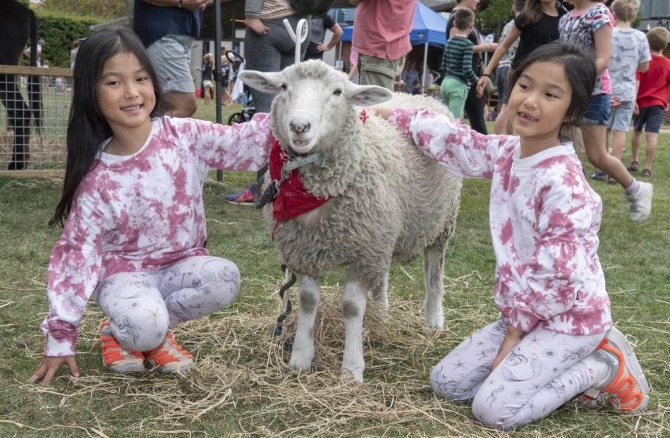 Six-year-old twins Jinfang, left, and Jinping Leng, make friends with Cubby the sheep in the...