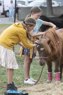 Sisters Lily, left, 10, and Summer van Ameyde, 9, groom a miniature horse in the petting zoo area.