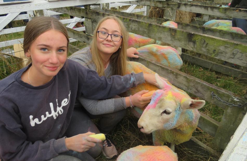 There was plenty on offer at the Methven A&P Show on March 20, including a sheep-colouring...