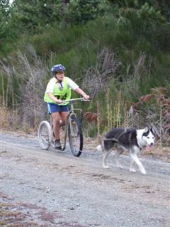 Kaela Muir, of Roxburgh, and Bruse   the dog look fairly relaxed on the way to the race finish.