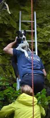 Hero is carried to safety by Mr  McNeill