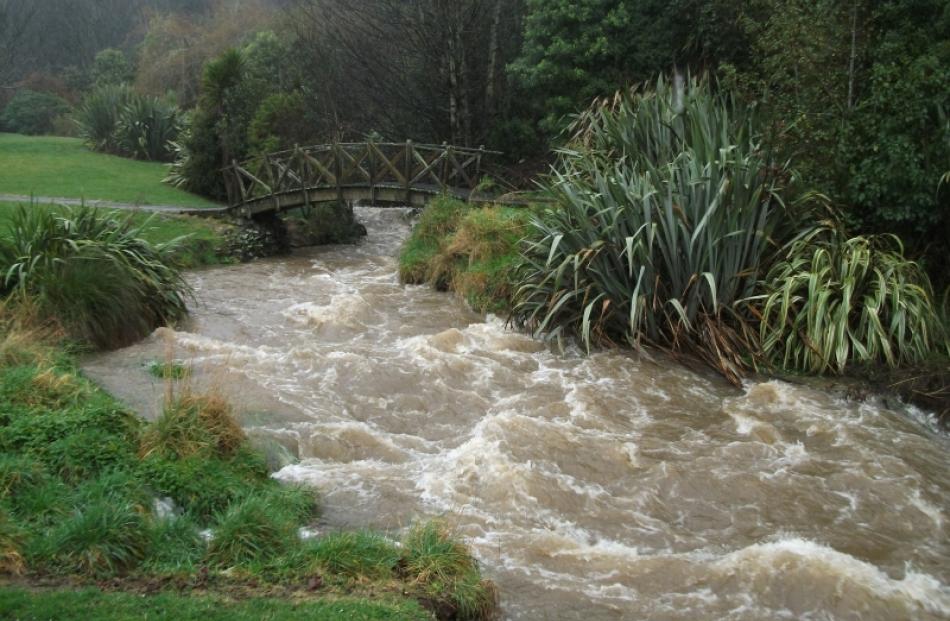 A normally placid stream has become a fast-flowing torrent at Frasers Gully by the Glenross...