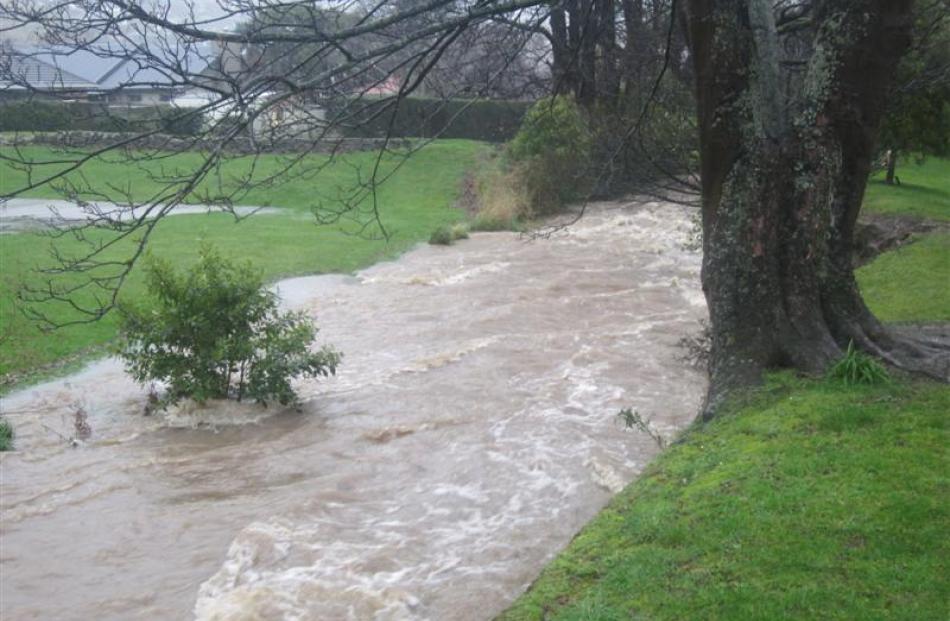 A swollen Lindsay Creek at Chingford Park, Northeast Valley. Photo by Richard Holley