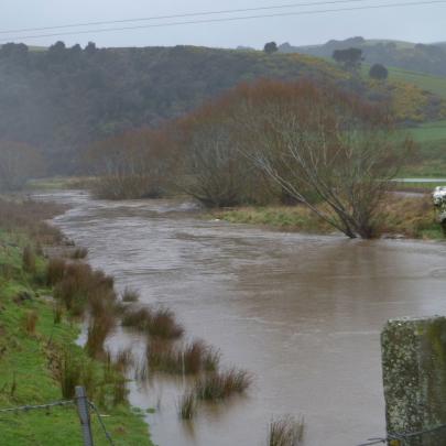 The Tokomairiro River. Photo by Sheena Hayes.