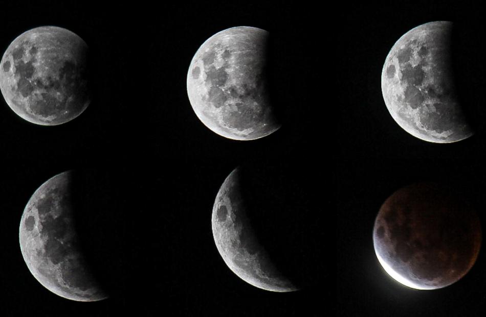 Images of the eclipse from Sara Ward.