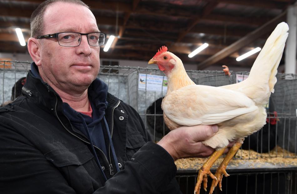 The champion bird of the New Zealand Poultry, Pigeon and Cage Bird National Show was an Old...