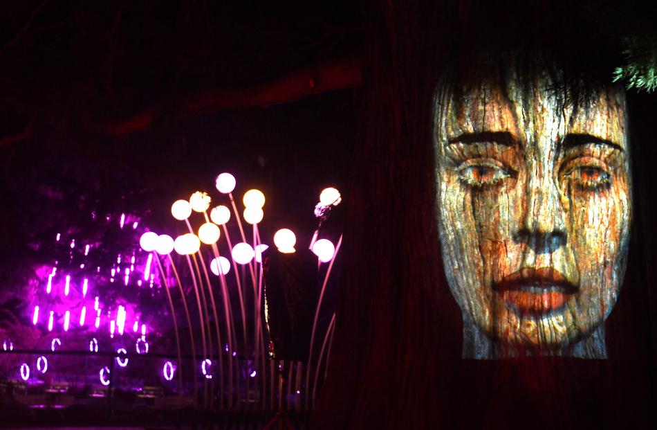 Hakitekura by Jeff Smith, is a projection on to a tree which tells the legend has that Hakitekura...