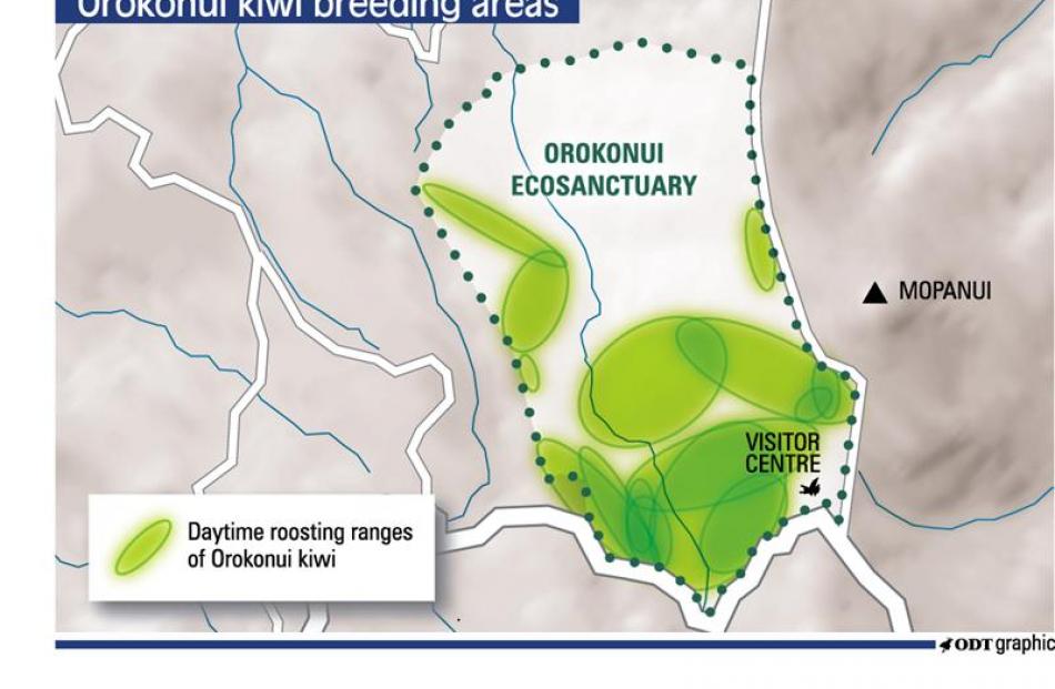 Graphic showing the distribution of Haast tokoeka in Orokonui Ecosanctuary. All 16 birds have...