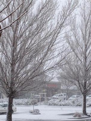 Snow covered trees at the Remarkables Park shopping centre near Frankton. Photo by Nicola Pullar