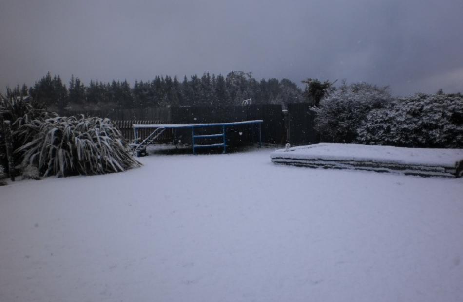 Saunders St in Brockville, Dunedin. Photo Phillippa Lloyd