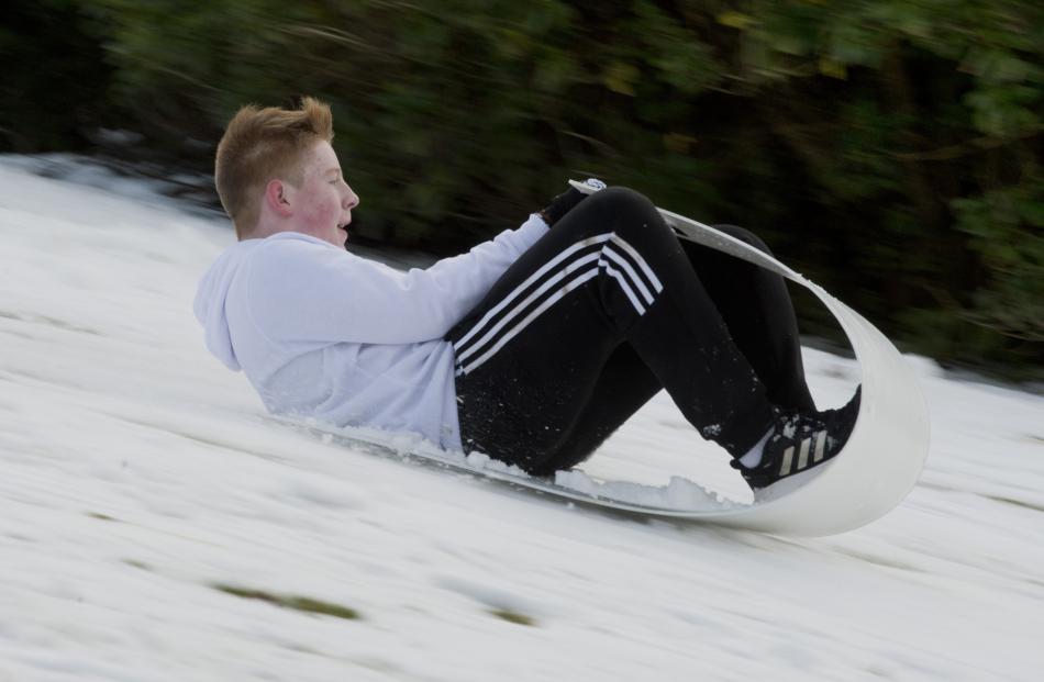 Speeding down the snowy hills outside Wakari Hospital on an improvised sled yesterday is Ollie...