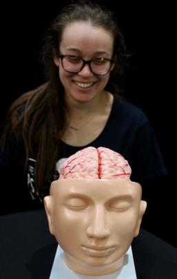 University of Otago psychology honours student Liv Bruce investigates the brain.