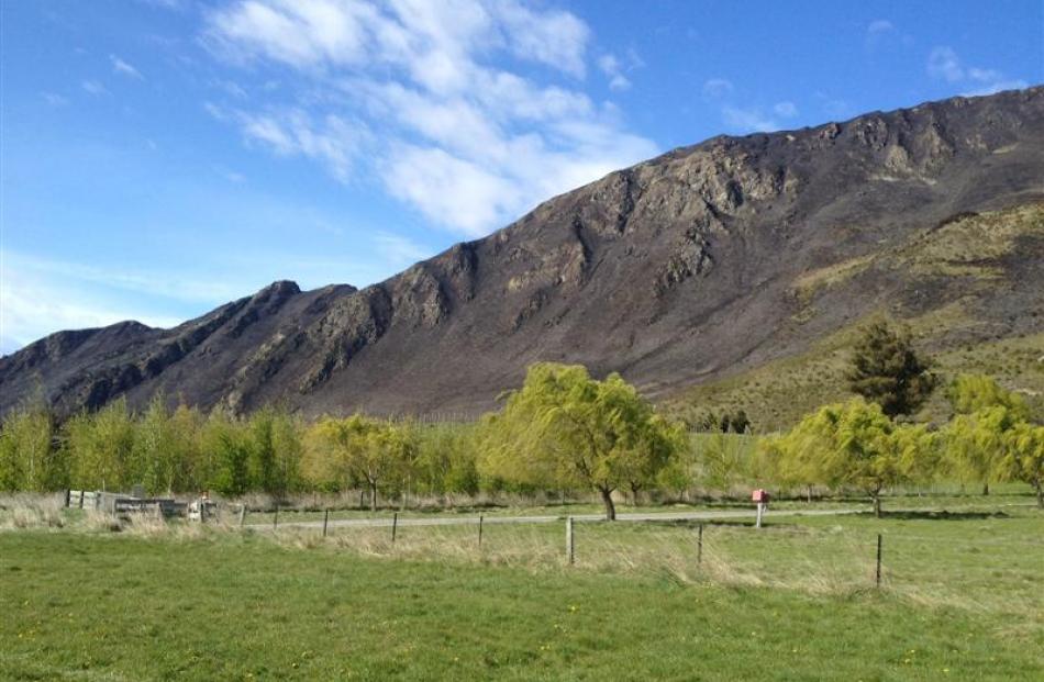 Scorched land in the aftermath of the blaze. Photo Lucy Ibbotson