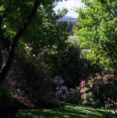 Woodland views are part of the garden's charm.