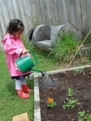 Avril Song (3), of Queenstown Montessori, waters one of the school's vegetable patches.