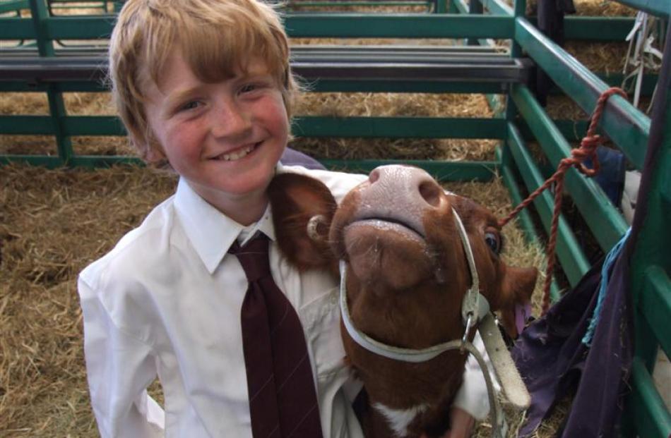 Jared Rutten (9), of Invercargill, shares a moment with his pet calf Sapphire.