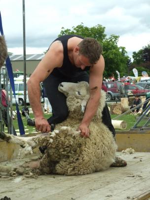 Danny Mason, of Balclutha, demonstrates machine shearing.