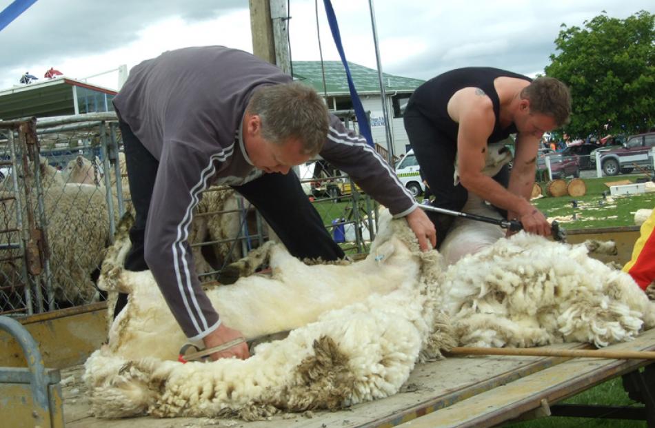 From left: Ronny Hill and Danny Mason, both of Balclutha, demonstrate sheep shearing.