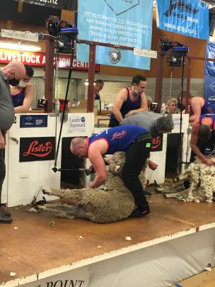 Troy Pyper, of Waikari, competes during the New Zealand Corriedale Shearing Championship.