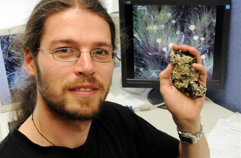 University of Otago botany doctoral student Lars Ludwig holds a rare bog lichen found at Swampy...