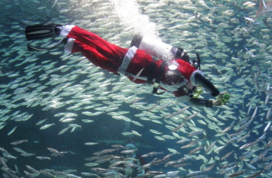 A dressed as Santa swims with sardines at The Coex Aquarium in Seoul, South Korea. (Photo by...