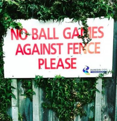 The Dunedin City Council really does not want any ball games played against the fences bordering...