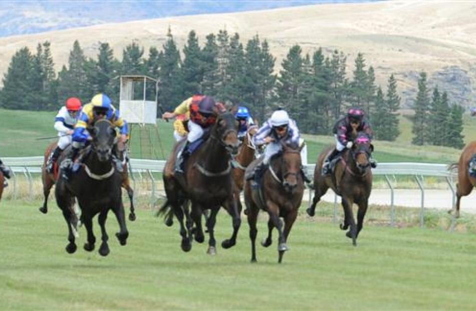 The winner of Race 5 was No 7,  She'z A Virtuoso,  ridden by Paul Taylor.