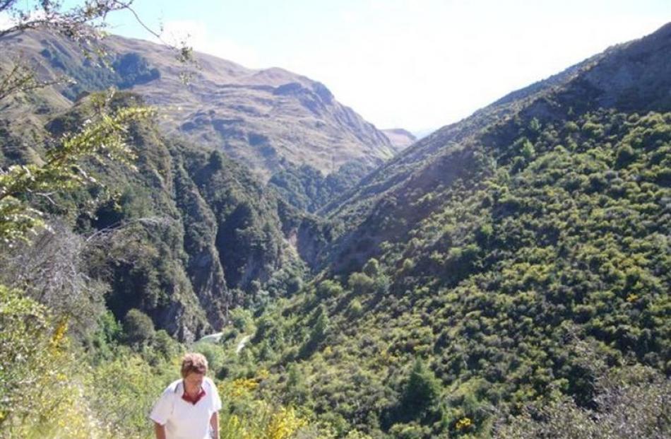 The start of the 10km Sawpit Gully track, popular with runners and walkers,  is just a minute's...