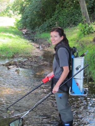 Ms Pham conducts an electric fishing demonstration in Oamaru Creek. Photos by Andrew Ashton.
