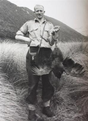 Rex Watson holds a trussed-up takahe on the day the birds were rediscovered.