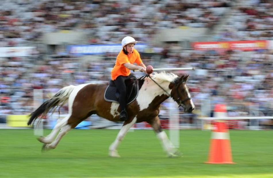 Outram resident Brian Shanks steers 10-year-old pony Spot around a course to win the scurry driving.