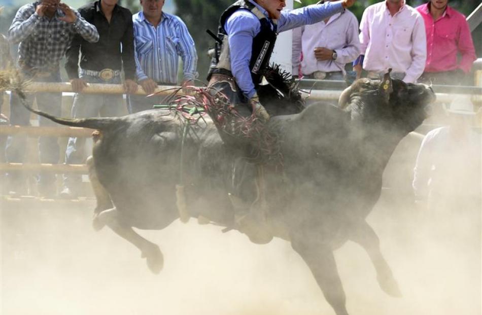 Johnson Davis, of Rotorua, competes in the second split open bulls section.