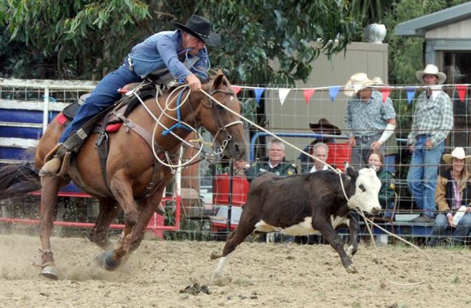 Murray Illing, of Clinton, competes in the rope and tie at the Outram rodeo on Waitangi Day.