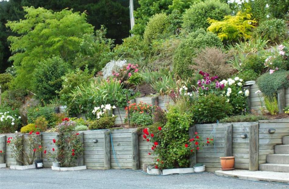 Behind the house, the main flower and fruit area rises behind the retaining wall.