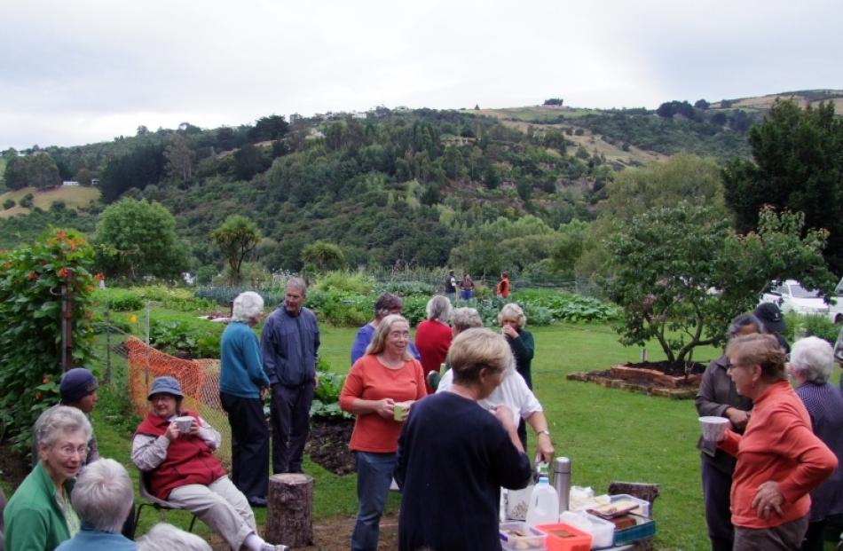The Dunedin Vegetable Club and NEV Community Garden members chat over a cuppa during the club's...