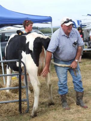 Outram dairy farmer Denis Aitken gives the Perfect Cow demonstration during the Southern Region...
