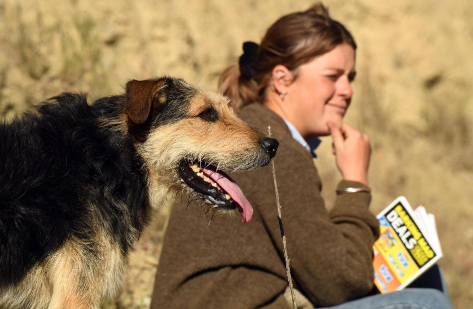 Lana Chrystal has company as she watches the action on the huntaway course at the South Island...
