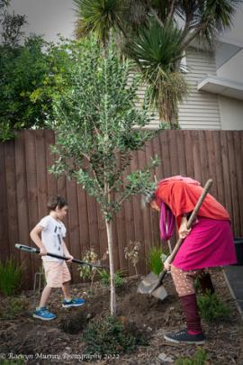 A pōhutukawa was planted in the courtyard during the opening. PHOTO: RAEWYN MURRAY PHOTOGRAPHY