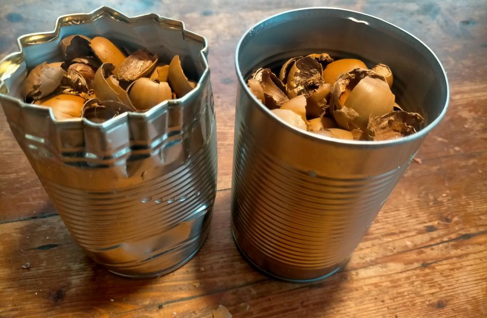 Two tins full of nuts shells waiting for their turn in the wood burner. 