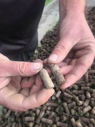Thatch build-up (right) is undesirable. The left-hand plug is thatch-free.