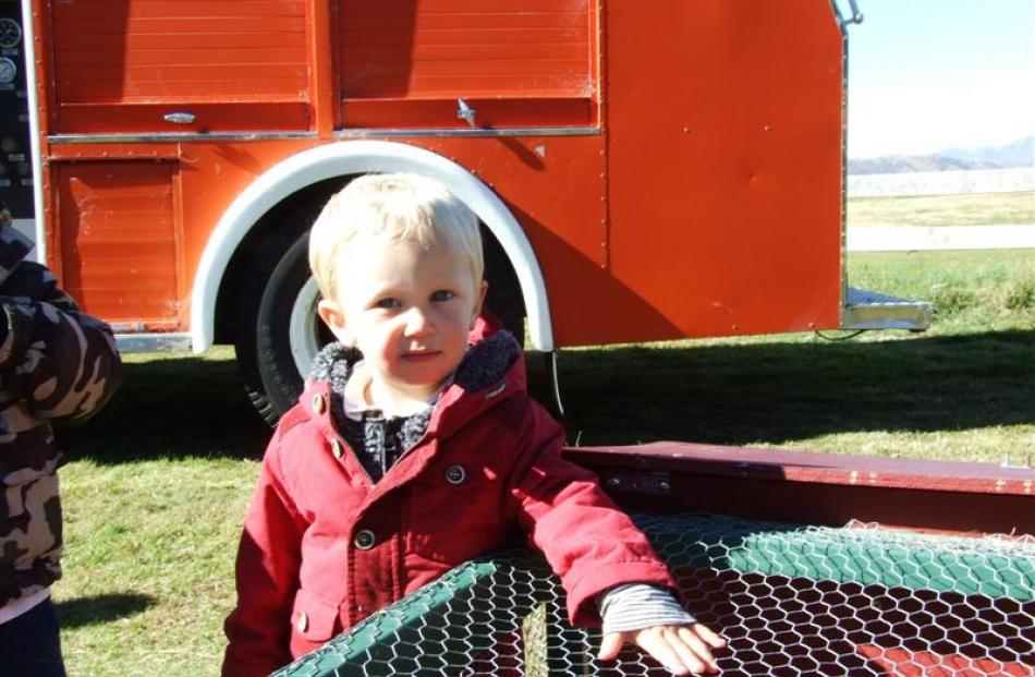 Harry Johnson (18mths) checks out the rabbit cage at the Flight Park.