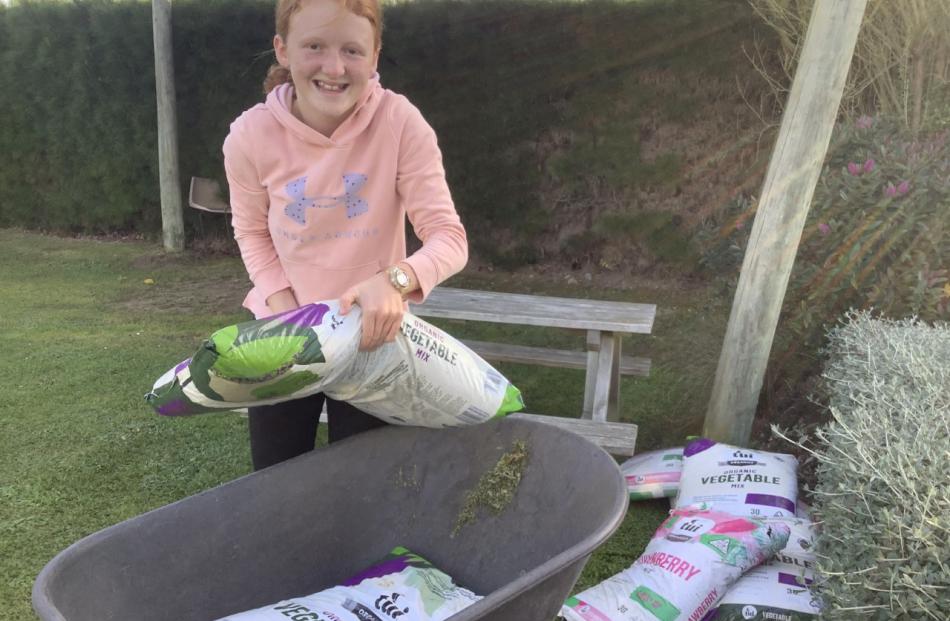 Abby from Lincoln Community Garden loads up the bags of compost in a wheelbarrow. PHOTO: SUPPLIED