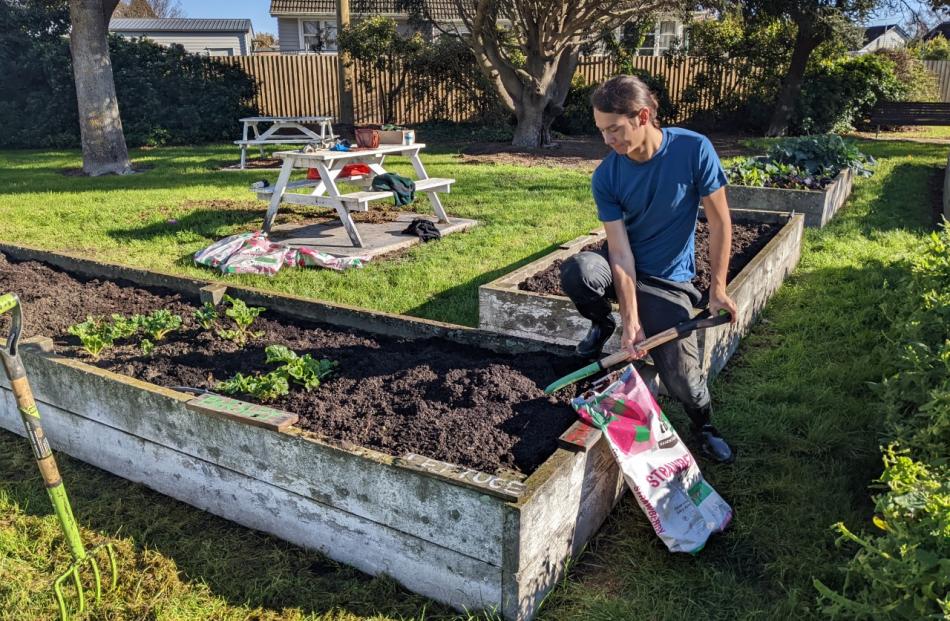 A Bryndwr Community Garden volunteer spreads the compost over the produce. Photo: Supplied