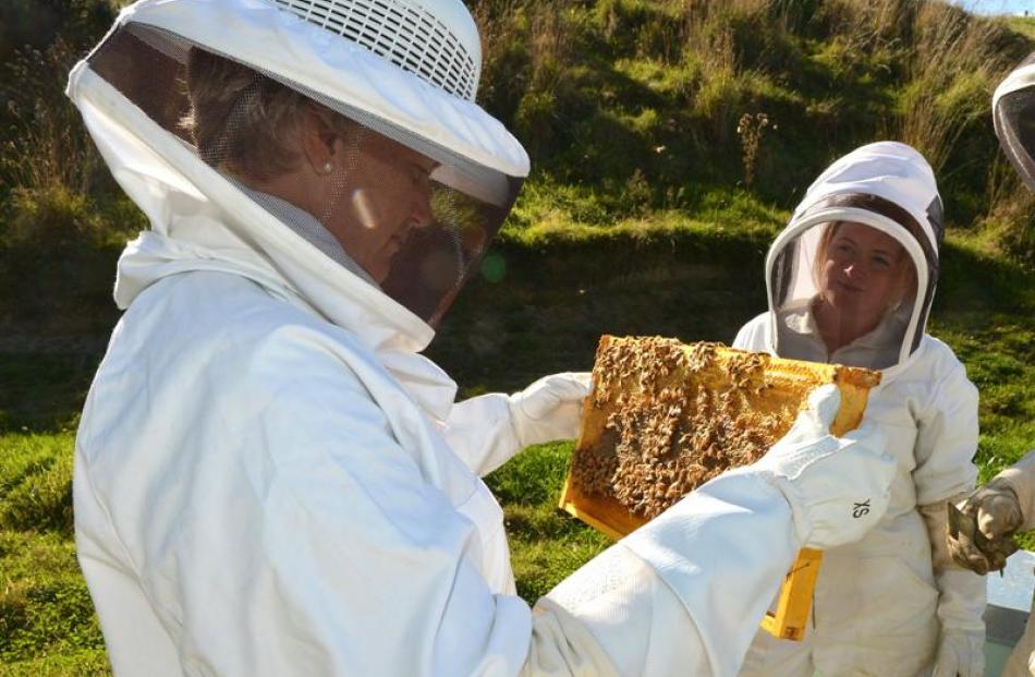 Heidi and Murray Rixon check a hive at their Tirohanga Rd property, near Mosgiel. Photo by...