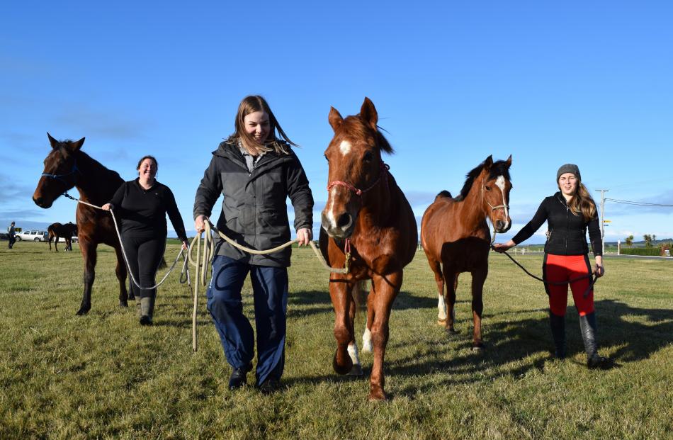 Olivia Braven leads horse Hamish, Stacey Poole leads horse Stella and Hannah Keelty leads horse...