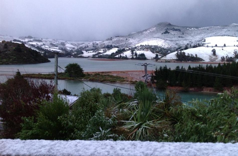 Purakanui. Photo by Wiebke Finkler
